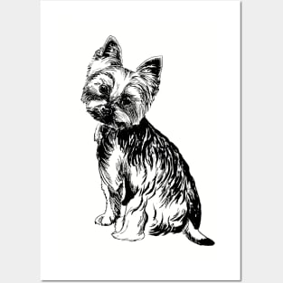 Yorkie Posters and Art